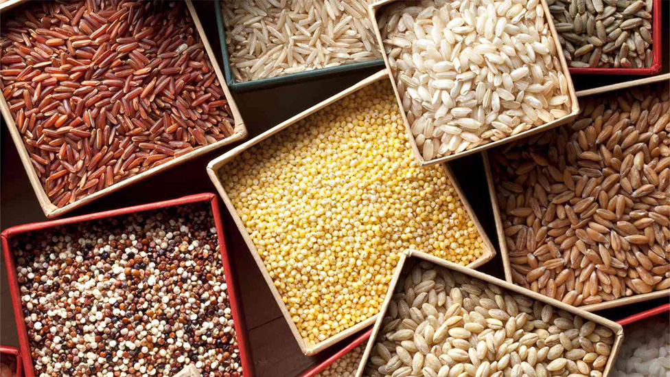 Ukraine wants grain deal expanded, eyes decision next week