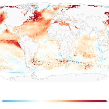 Global ocean temperatures are now hotter than ever — with far-reaching consequences for the planet